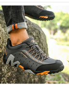 Orange / 35
