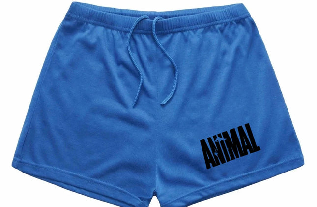 Men Summer Casual Shorts Quick Drying Fitness Short Homme Beach Shorts Men Women
