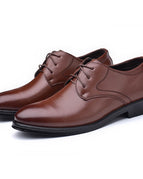 2069 Brown / 40