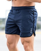 Navy blue / XXL