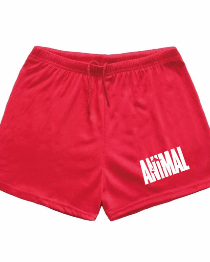 Men Summer Casual Shorts Quick Drying Fitness Short Homme Beach Shorts Men Women