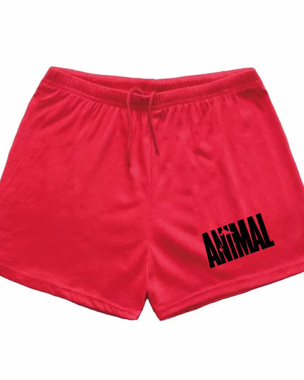 Men Summer Casual Shorts Quick Drying Fitness Short Homme Beach Shorts Men Women
