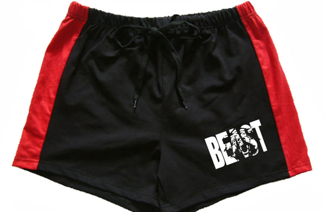 Men Summer Casual Shorts Quick Drying Fitness Short Homme Beach Shorts Men Women