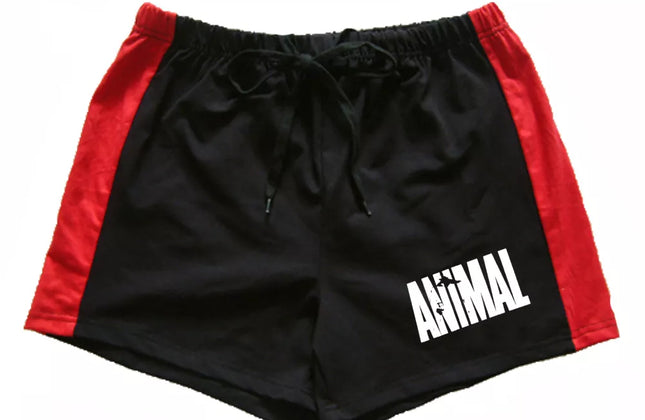 Men Summer Casual Shorts Quick Drying Fitness Short Homme Beach Shorts Men Women